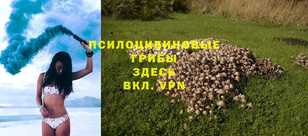 крисы Балахна