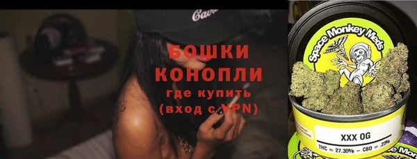прущие грибы Баксан