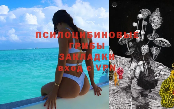 прущие грибы Баксан