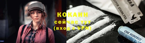 ГАЛЛЮЦИНОГЕННЫЕ ГРИБЫ Балабаново