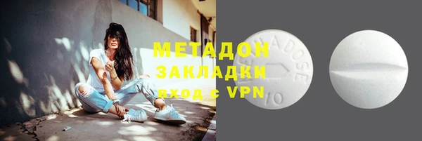 прущие грибы Баксан