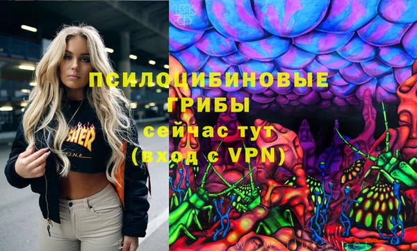 ешки Осташков