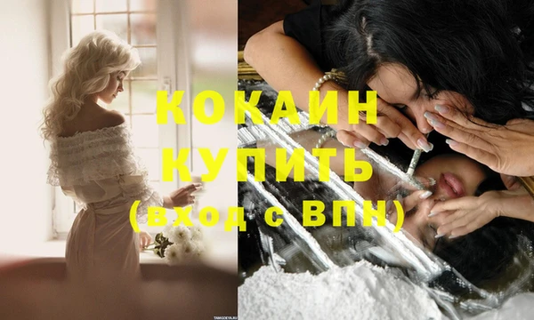 крисы Балахна