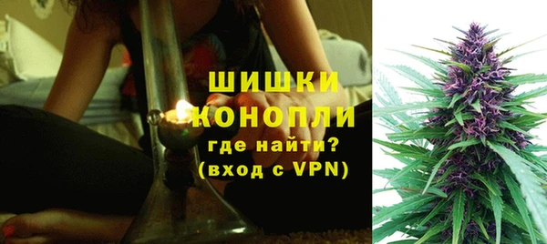 прущие грибы Баксан