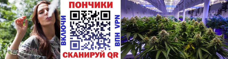 Бошки марихуана MAZAR  где найти   Черноголовка 